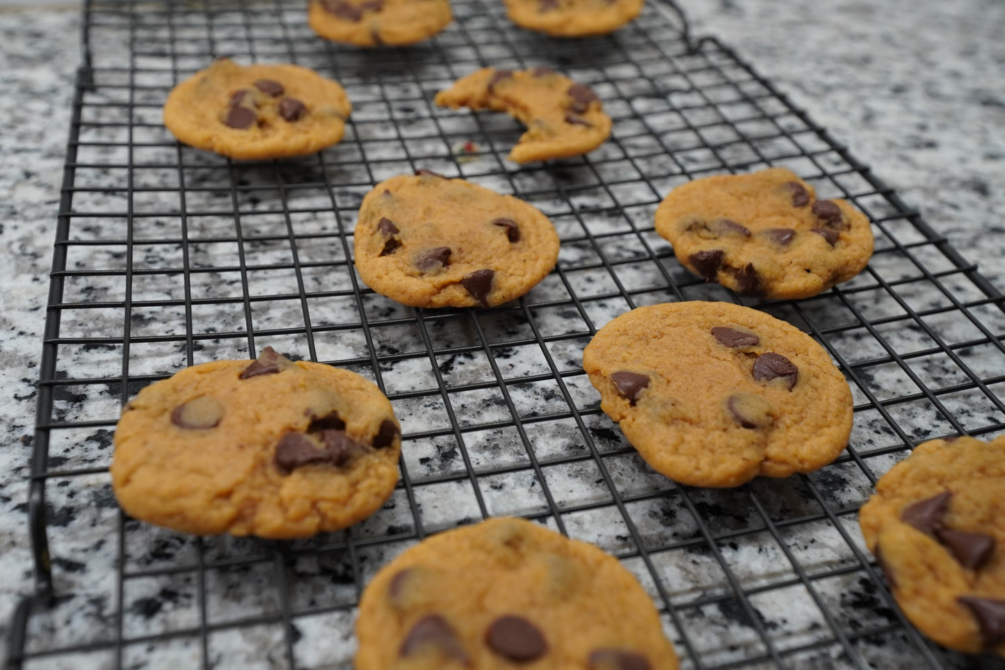 Pumpkin Chocolate Chip Cookies